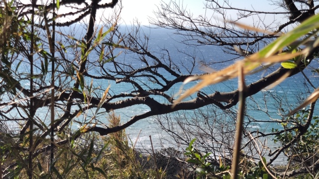 20191212_2960877.jpg