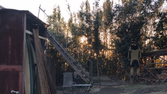 20191212_2960887.jpg