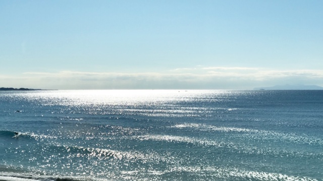 20200121_2980295.jpg