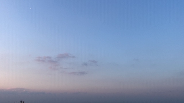 20200318_3008315.jpg