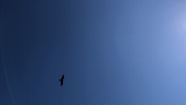 20200318_3008323.jpg