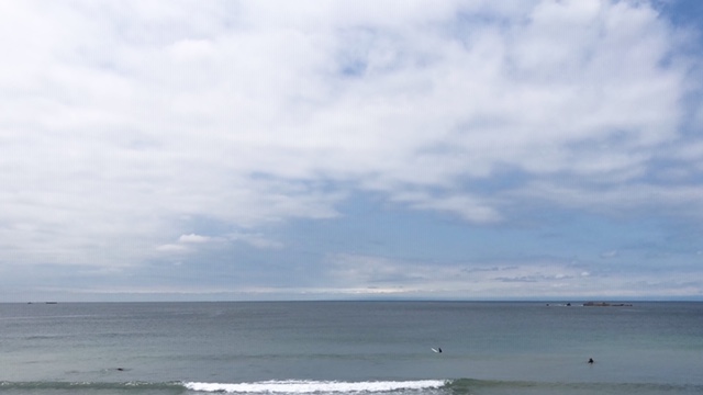 78400149-5EB8-4989-BF7C-B33359C8960E.JPG