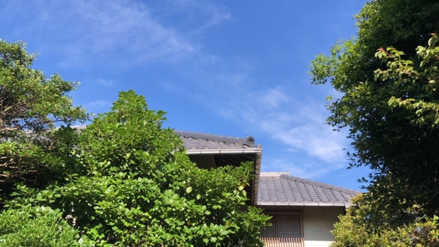 20200621_3052900.jpg