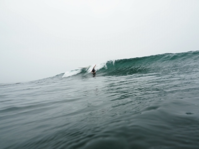 20200701_3057856.jpg