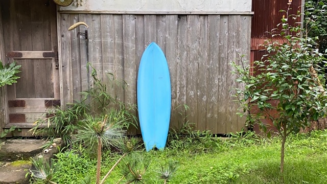 20200725_3068314.jpg