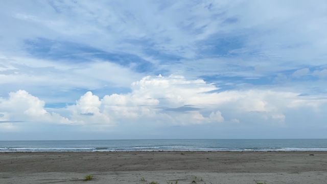 20200728_3069660.jpg
