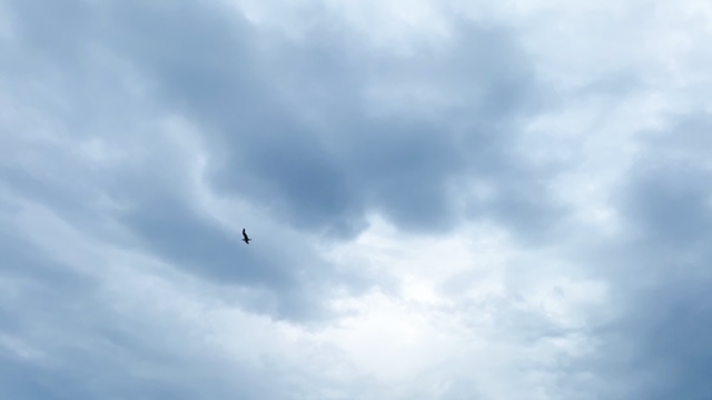 20200729_3070071.jpg