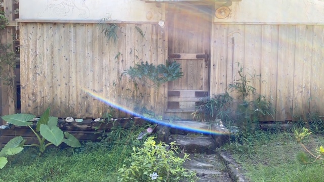 20200803_3071784.jpg