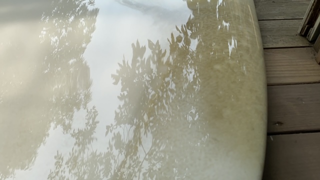 20200808_3073951.jpg