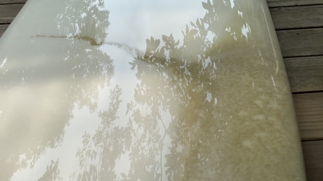 20200808_3073953.jpg