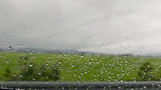 20200809_3074321.jpg