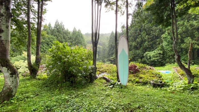 20200810_3074571.jpg