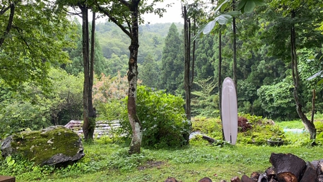 20200810_3074573.jpg