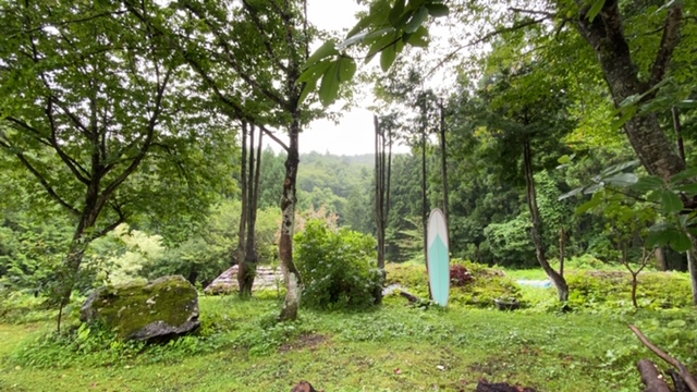 20200810_3074575.jpg
