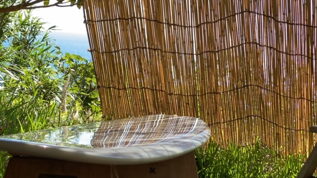 20200831_3082591.jpg