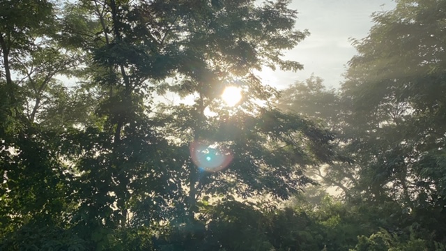 20200906_3084879.jpg
