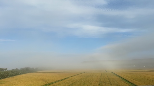 20200906_3084881.jpg