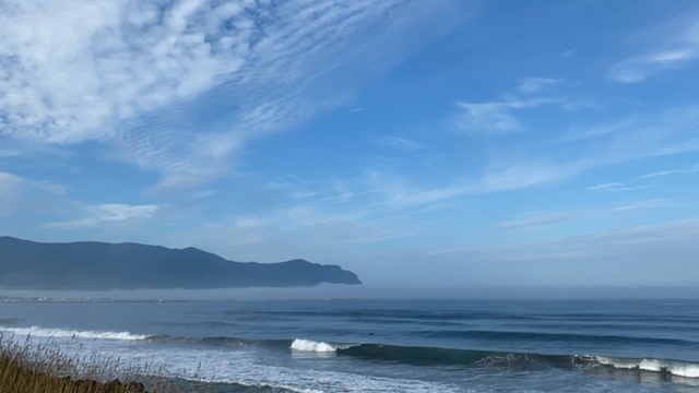 20200906_3084885.jpg