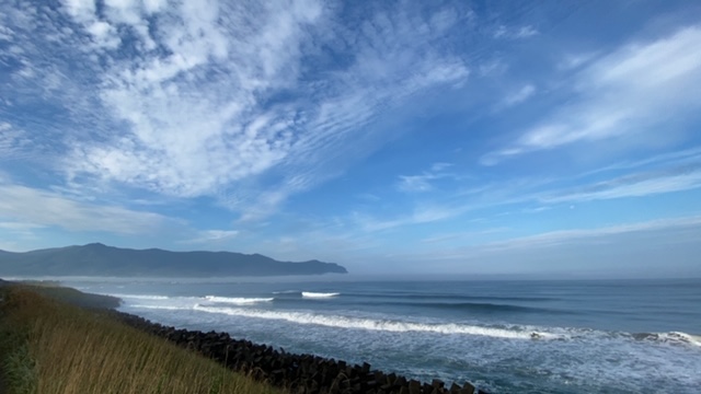20200906_3084887.jpg