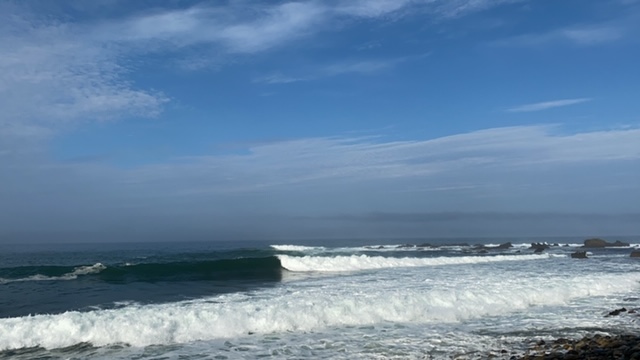 20200906_3084889.jpg