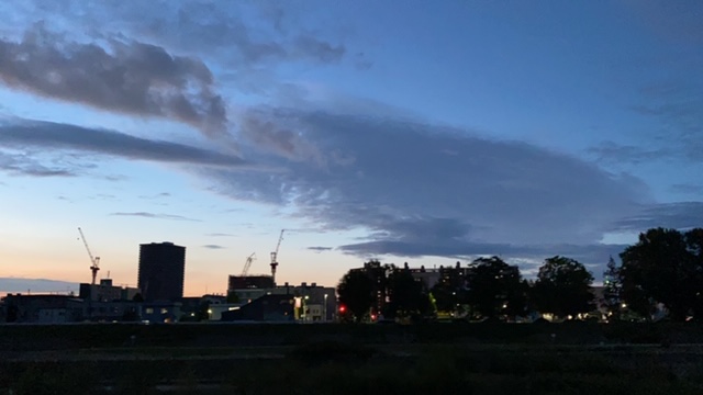 20200906_3084895.jpg