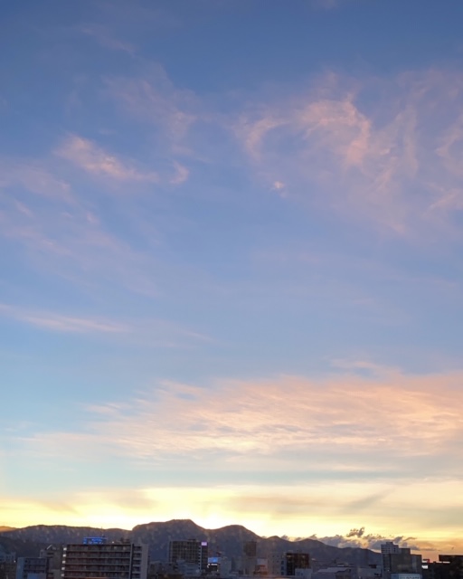 20200907_3085290.jpg