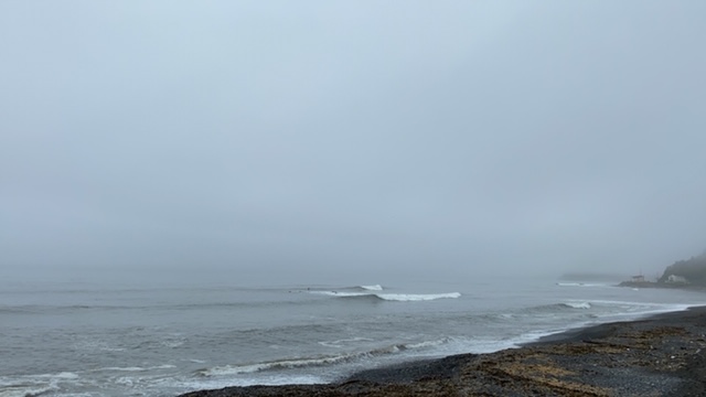 20200908_3085693.jpg