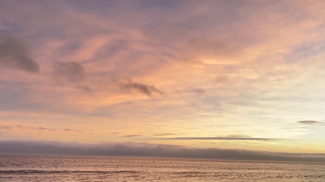20200908_3085713.jpg