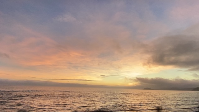 20200908_3085715.jpg