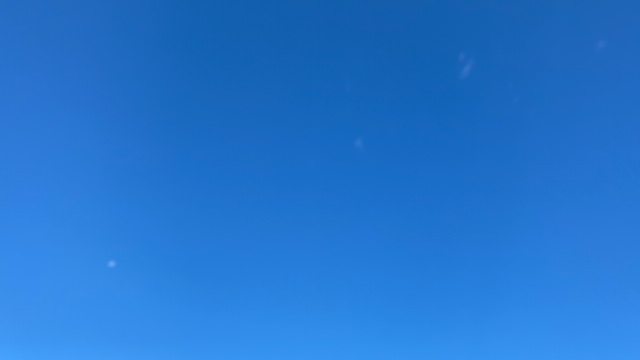 20200909_3086156.jpg