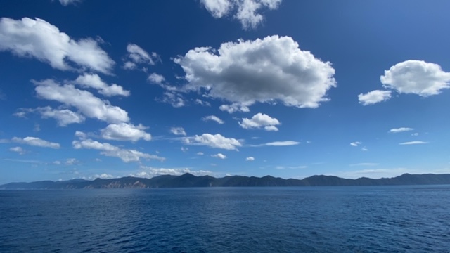 20200909_3086160.jpg