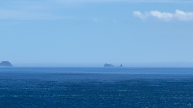20200909_3086166.jpg