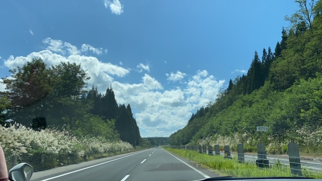 20200909_3086172.jpg