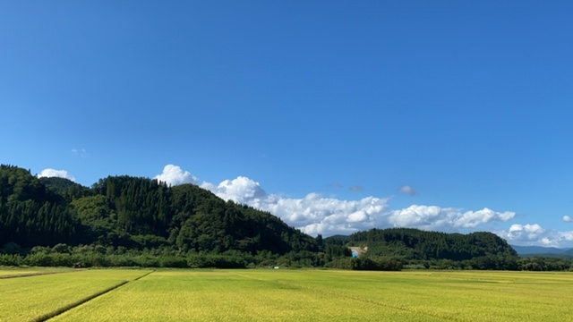 20200909_3086178.jpg