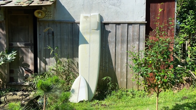 20200910_3086480.jpg