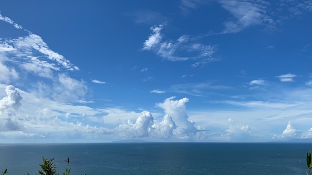 20200911_3087014.jpg