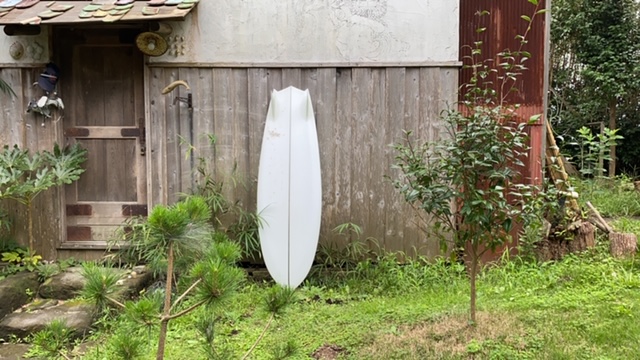 20200916_3089504.jpg