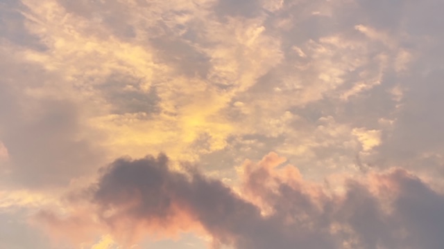 20200917_3089927.jpg