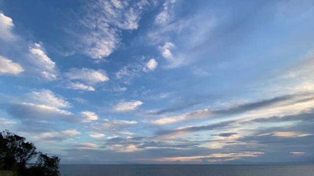 20200918_3090446.jpg