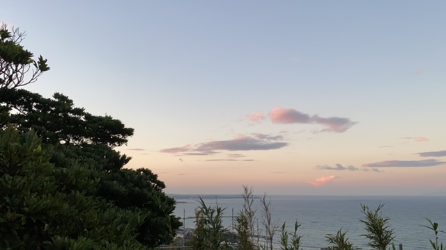 20200920_3091156.jpg