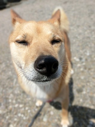 5/10