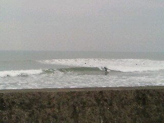 20070310_35378.jpg