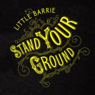 Little Barrie