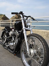 XL1200C