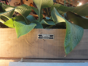sDSC07305.jpg