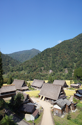 sDSC00713.jpg