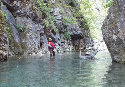 sDSC00768.jpg