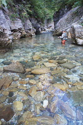 sDSC00771.jpg