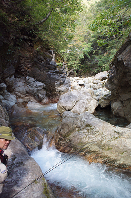 sDSC00773.jpg