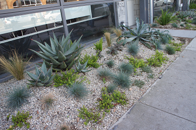 sDSC02655.jpg